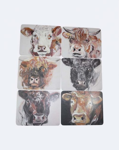 Bulls Placemats Set of 6