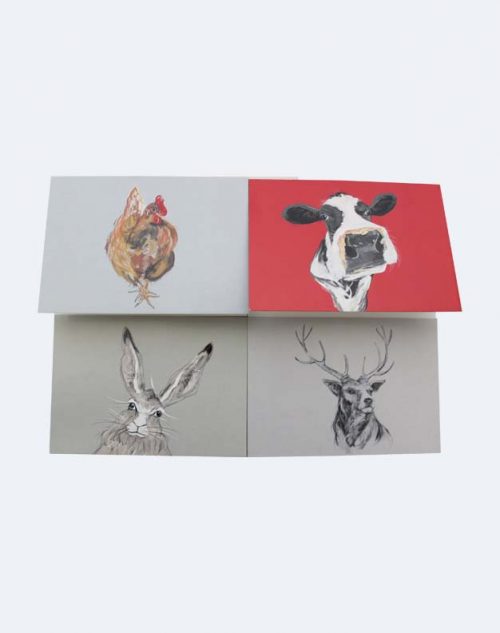 Note Cards