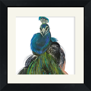 Captain Peacock